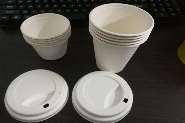 bagasse cup for coffee drink