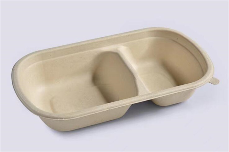 in natural bagasse 2c food container