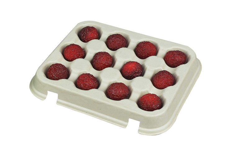 molded pulp fruit trays